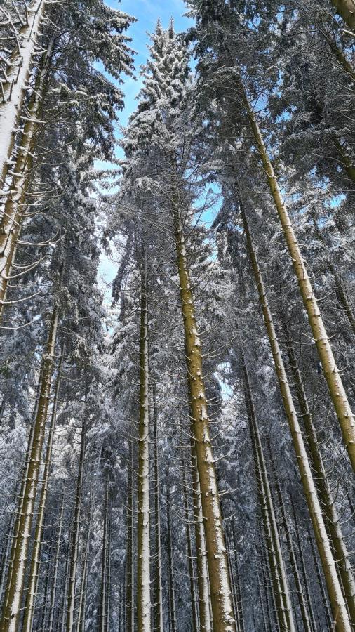 Vakantiehuisje Винтерберг Экстерьер фото